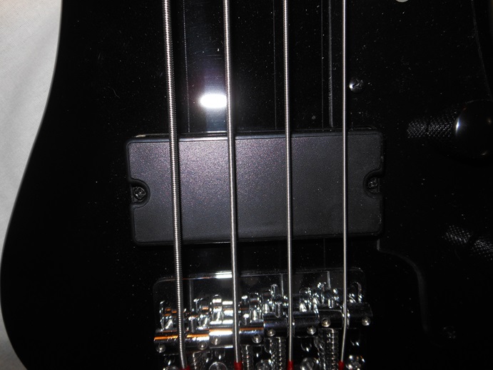 Shorty Bass Picture 13